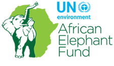 African Elephant Fund